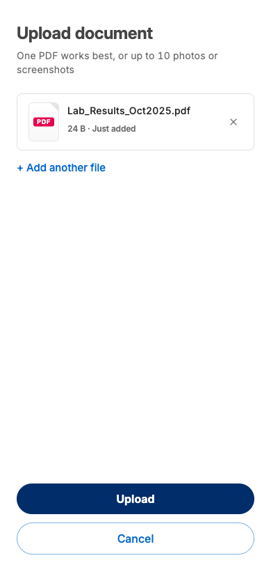 Upload screen with file